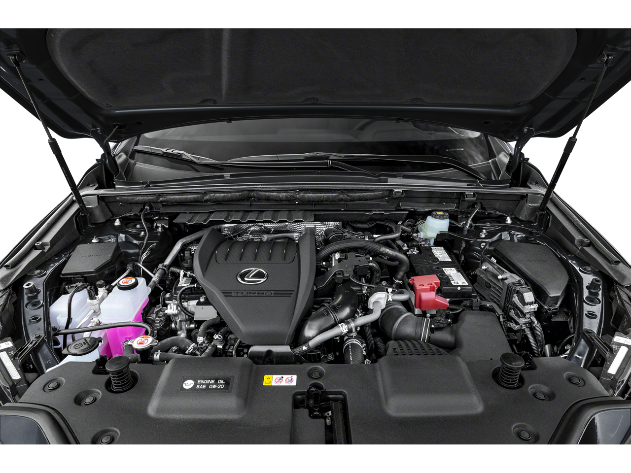 2024 Lexus NX 350 Base