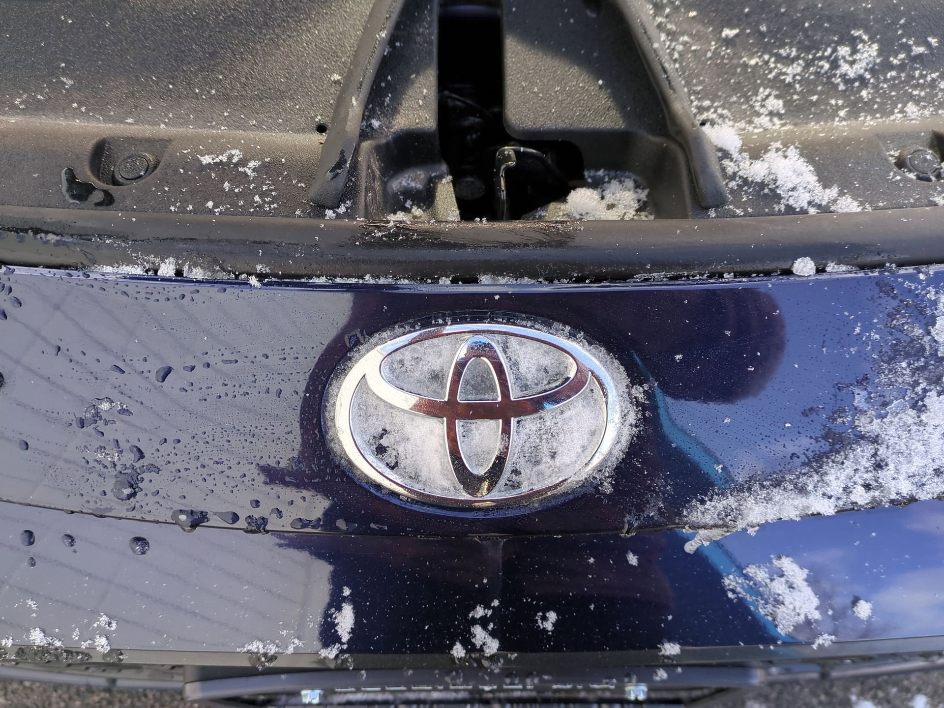 2025 Toyota Corolla XSE