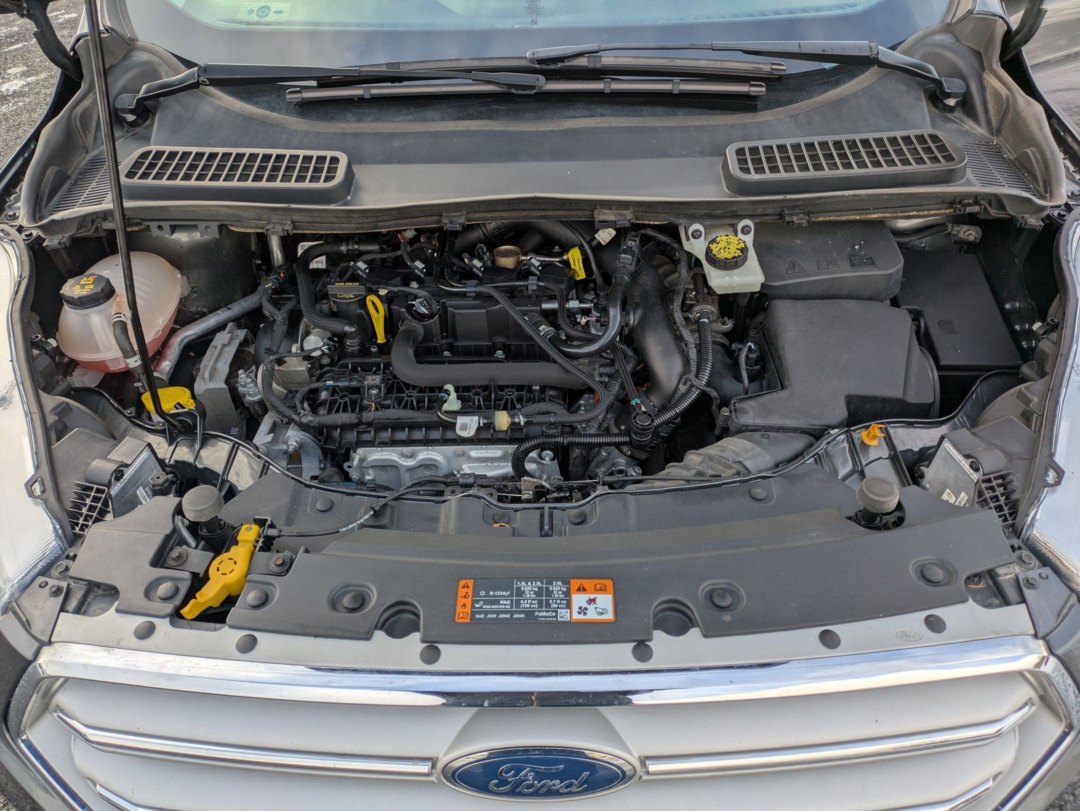 2019 Ford Escape SEL