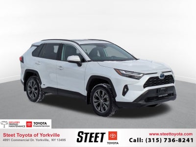 2023 Toyota RAV4 Hybrid XLE Premium w/ Cold Weather Pkg